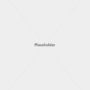 placeholder-800 placeholder-800